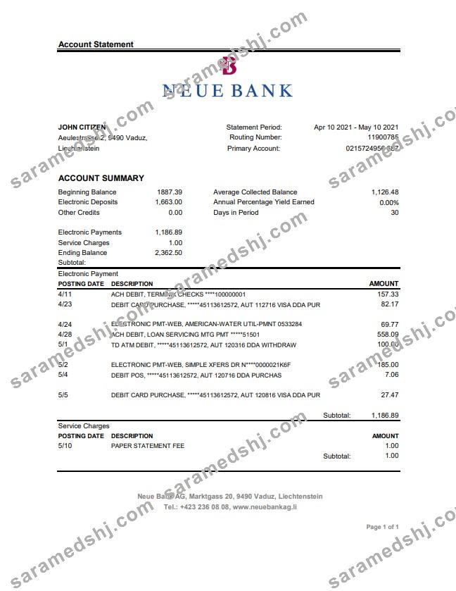 Liechtenstein Neue Bank AG bank statement easy to fill template in .xls and .pdf file format